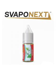 Menta Ice Aroma 10ml - SvapoNext (CON TASSELLO)