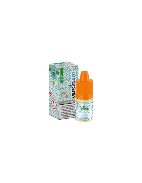 Menta Sali di Nicotina 10ml - Vaporart