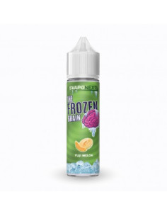 Fuji Melon The Frozen Brain Aroma Shot 20ml Melone e Ghiaccio - SvapoNext (CON TASSELLO)